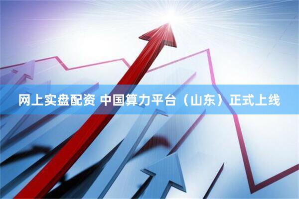 网上实盘配资 中国算力平台（山东）正式上线