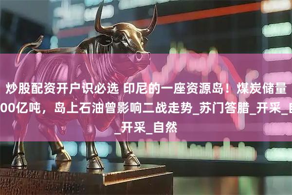 炒股配资开户识必选 印尼的一座资源岛！煤炭储量超500亿吨，岛上石油曾影响二战走势_苏门答腊_开采_自然